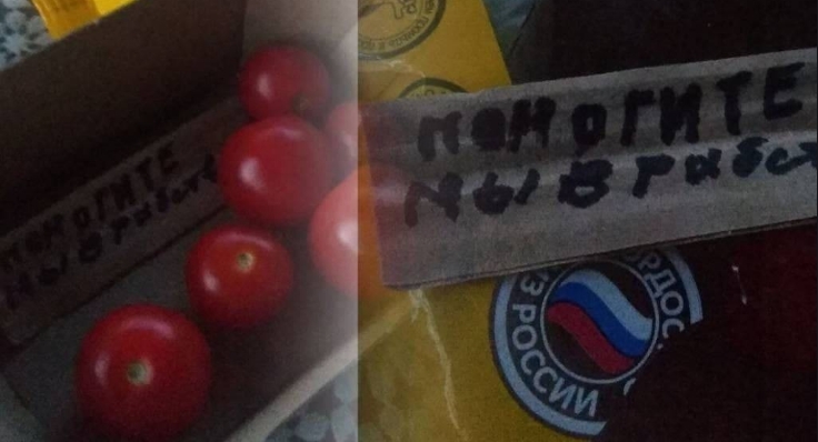 «Помогите, мы в рабстве»: россиянка нашла записку в упаковке магазинных помидоров